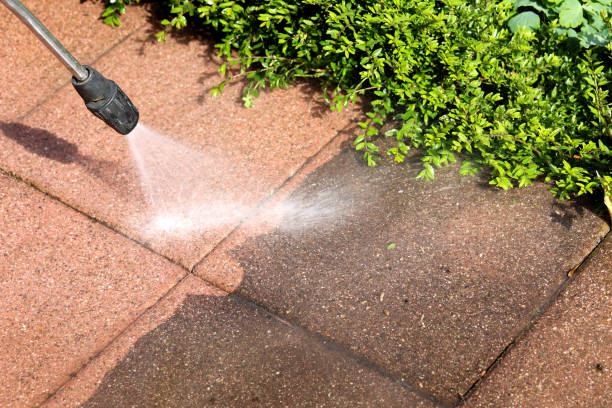 Professional Pressure Washing in Cleveland, FL